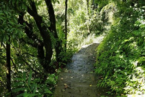 Hiking in Nagarkot : Nagarkot 360 View Tower + Village Hiking Trail